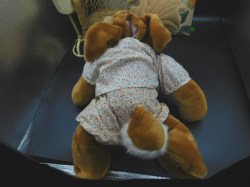 wrinkles moose puppet 2 bk